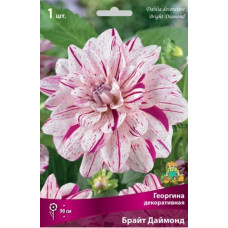 Георгина Брайт Даймонд