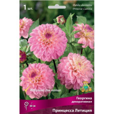 Георгина Принцесса Летиция